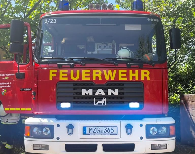 PKW Brand in Düppenweiler