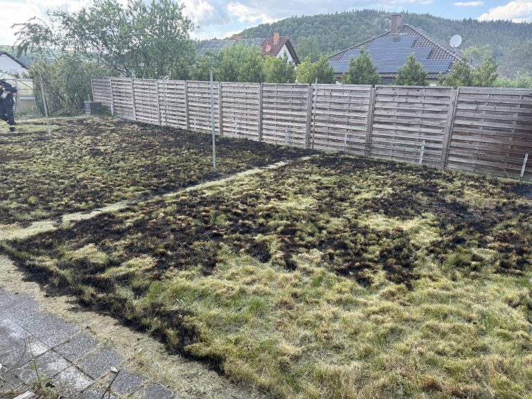 Brennende Hecke in Reimsbach