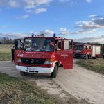 Hund in Kofferraum eingeklemmt