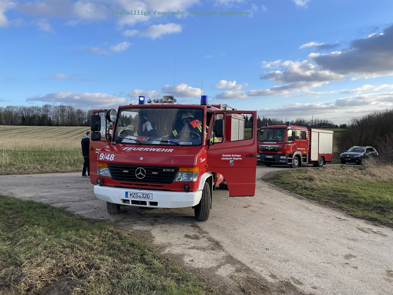 Hund in Kofferraum eingeklemmt