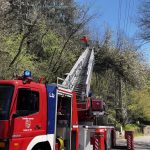 Baum liegt auf Stromleitung