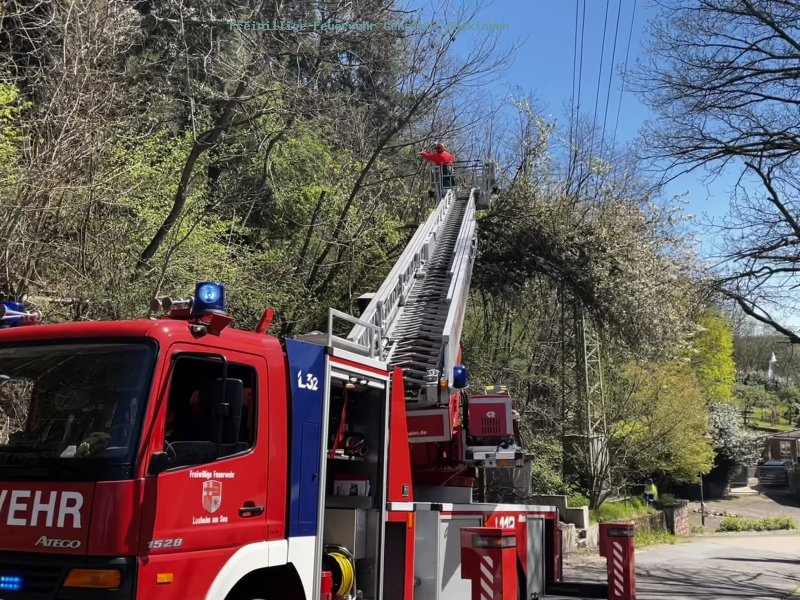 Baum liegt auf Stromleitung