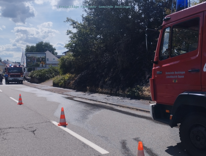 Flächenbrand in Reimsbach