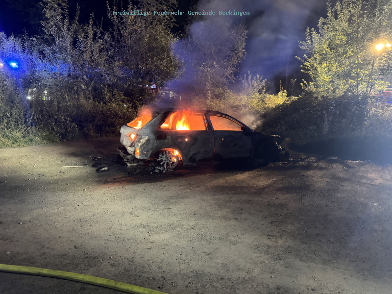 Unterstützung bei PKW Brand Merchinger Berg