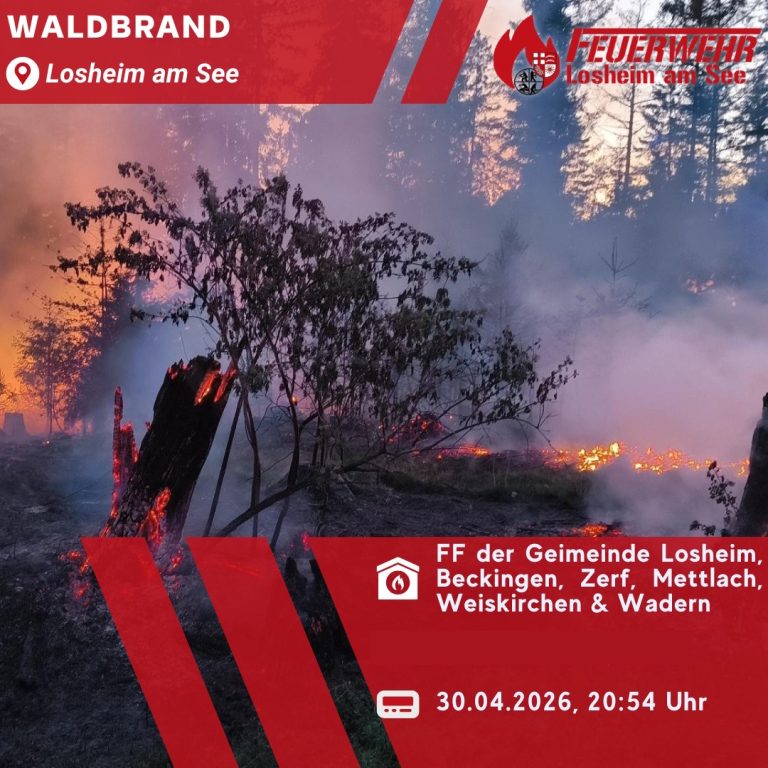 Waldbrand in Losheim
