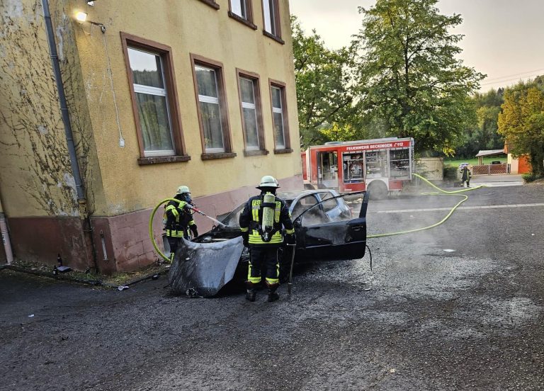 Brand PKW in Haustadt