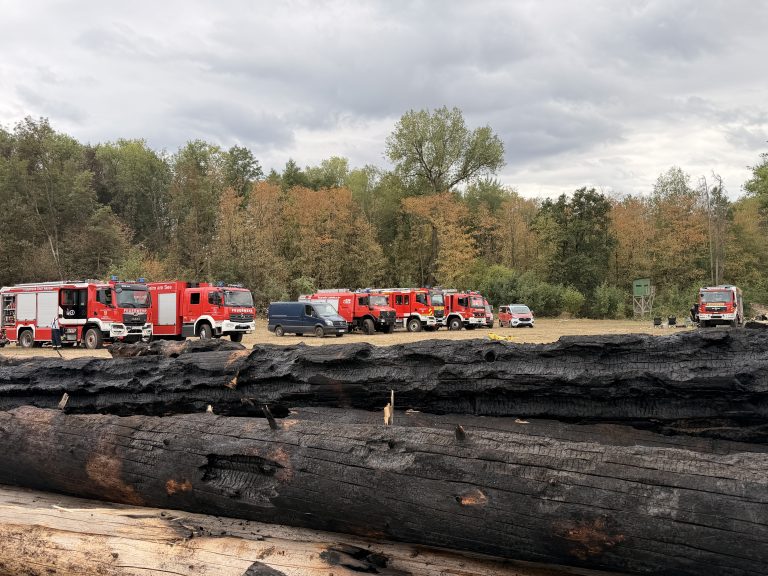 Einsatz Waldbrandzug-Nord