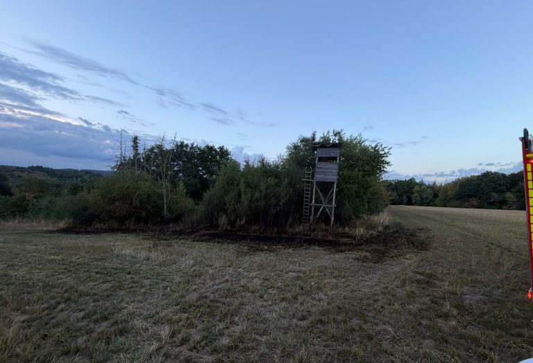 Flächenbrand